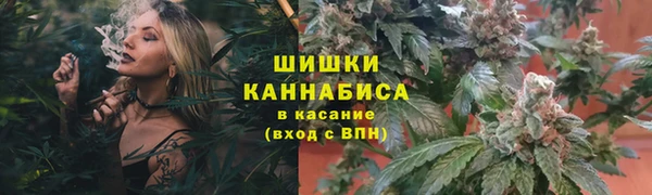 шишки Волосово