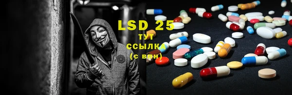 шишки Волосово