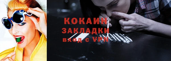 хмурый Тайга