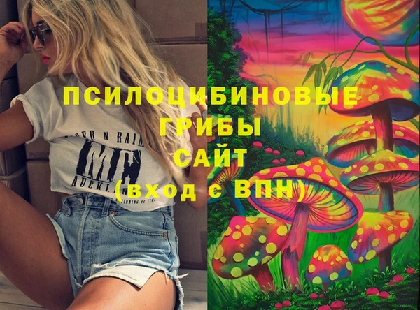 шишки Волосово