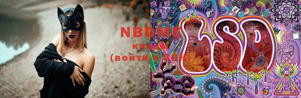 крисы Володарск